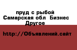 пруд с рыбой - Самарская обл. Бизнес » Другое   